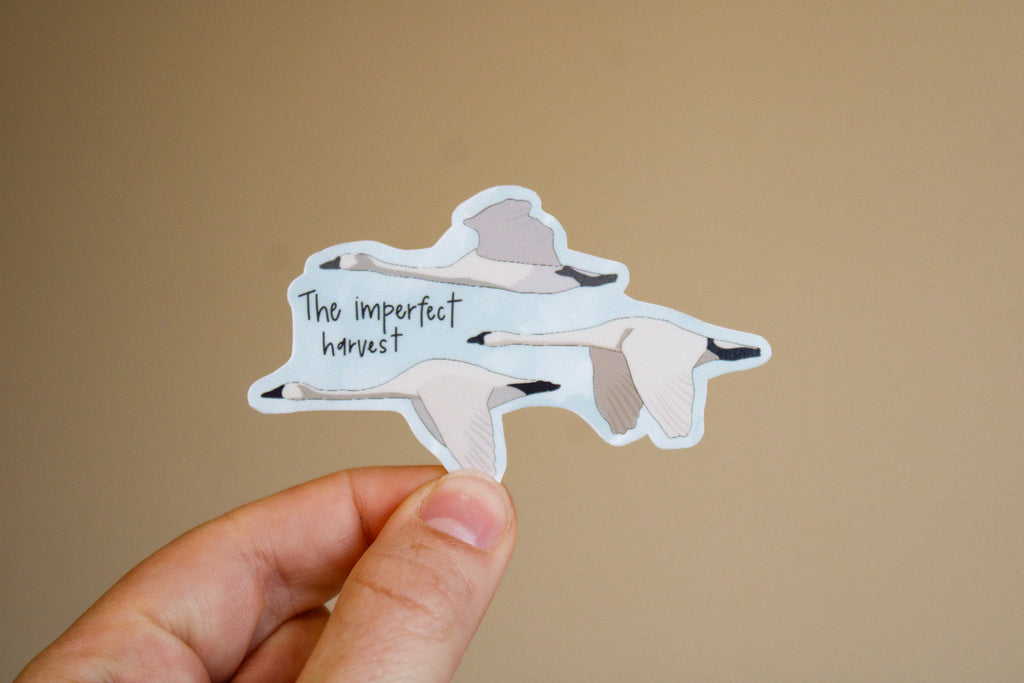The Imperfect Harvest - Sunbeam Stickers