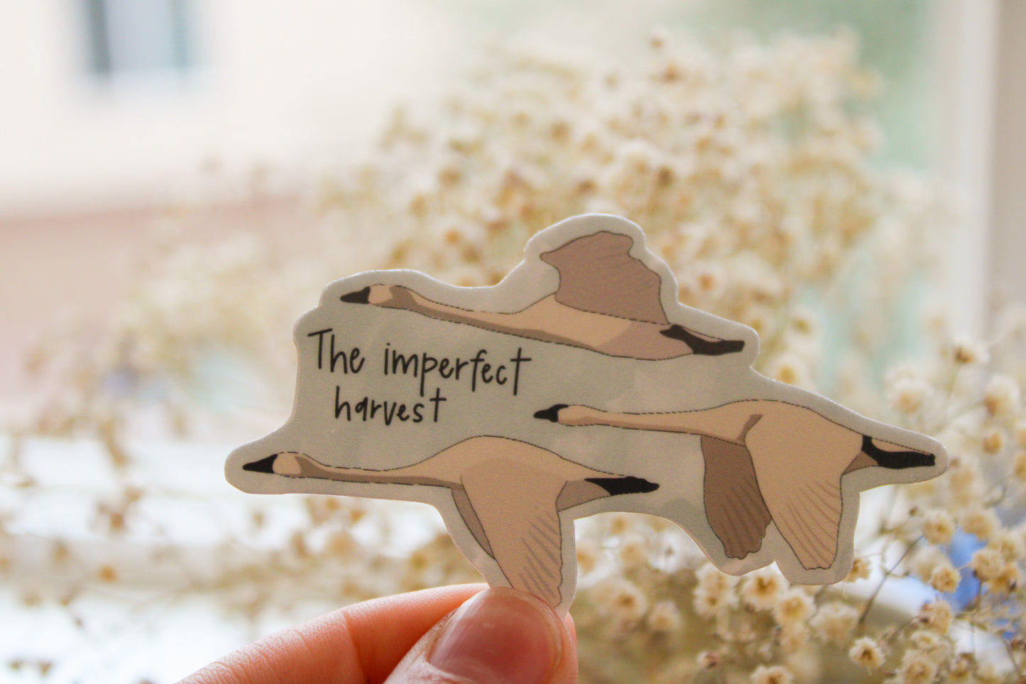 The Imperfect Harvest