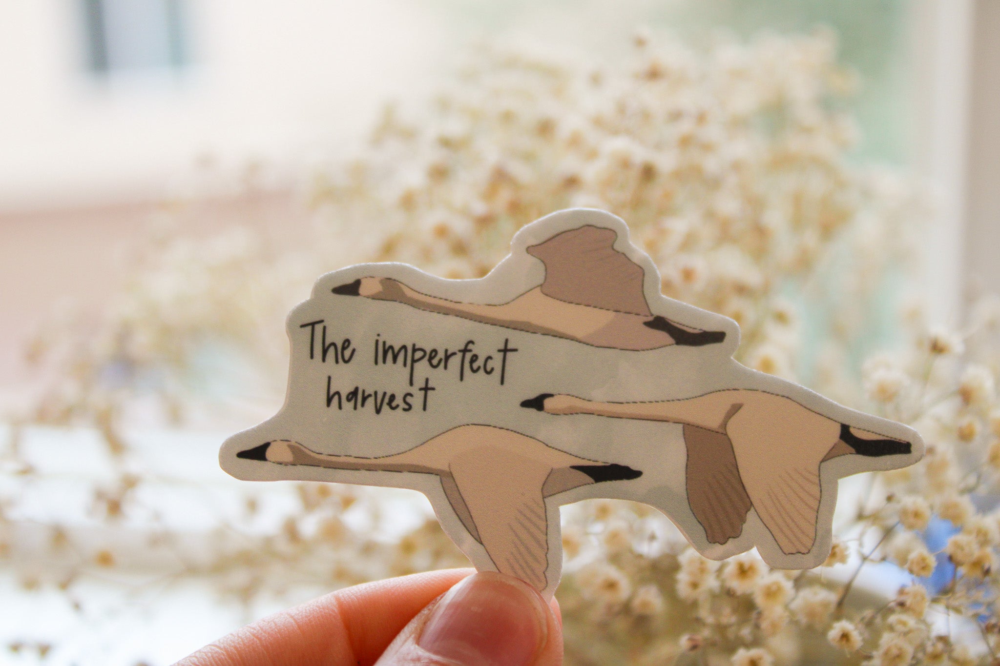 The Imperfect Harvest - Sunbeam Stickers