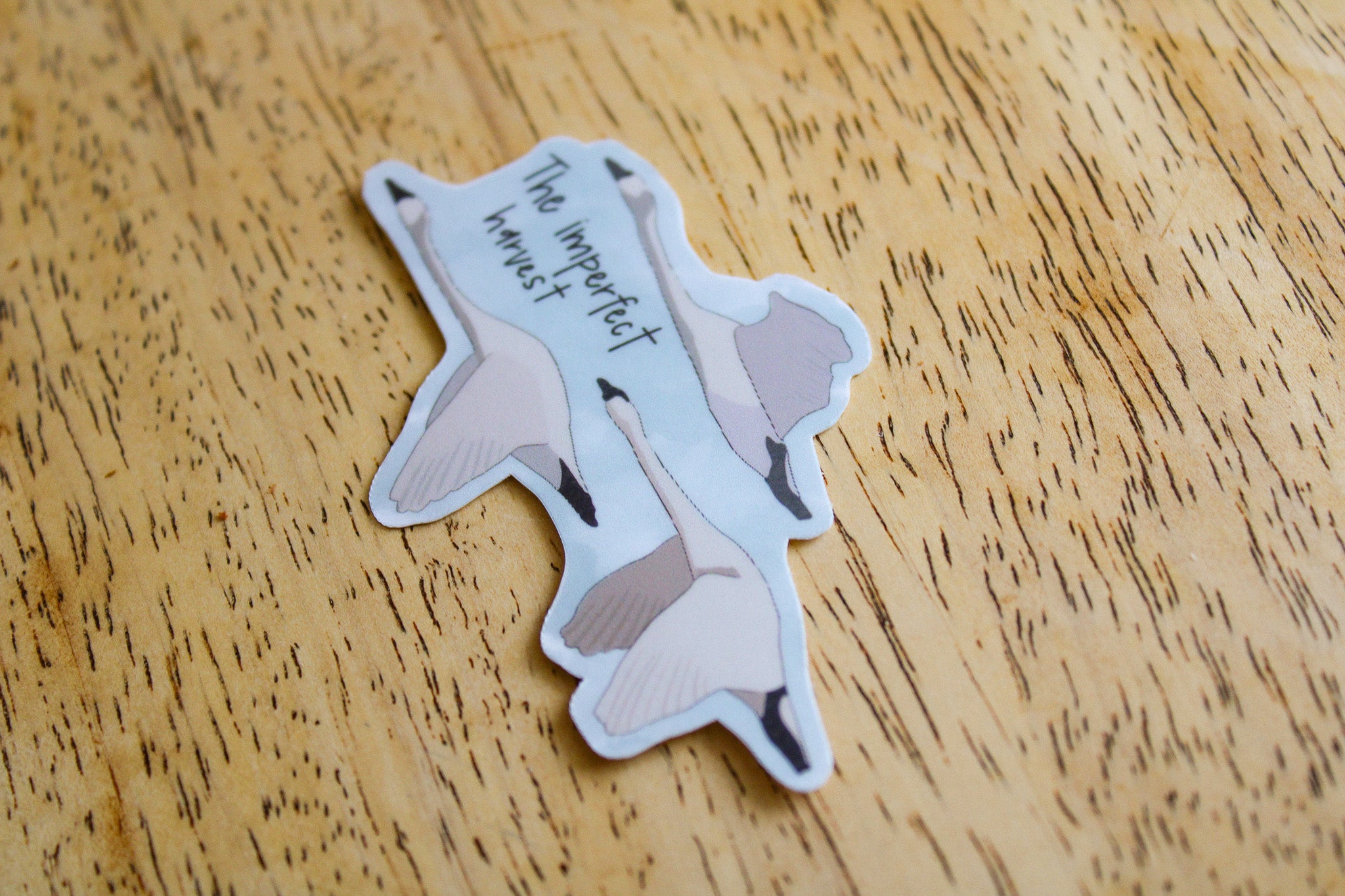 The Imperfect Harvest - Sunbeam Stickers