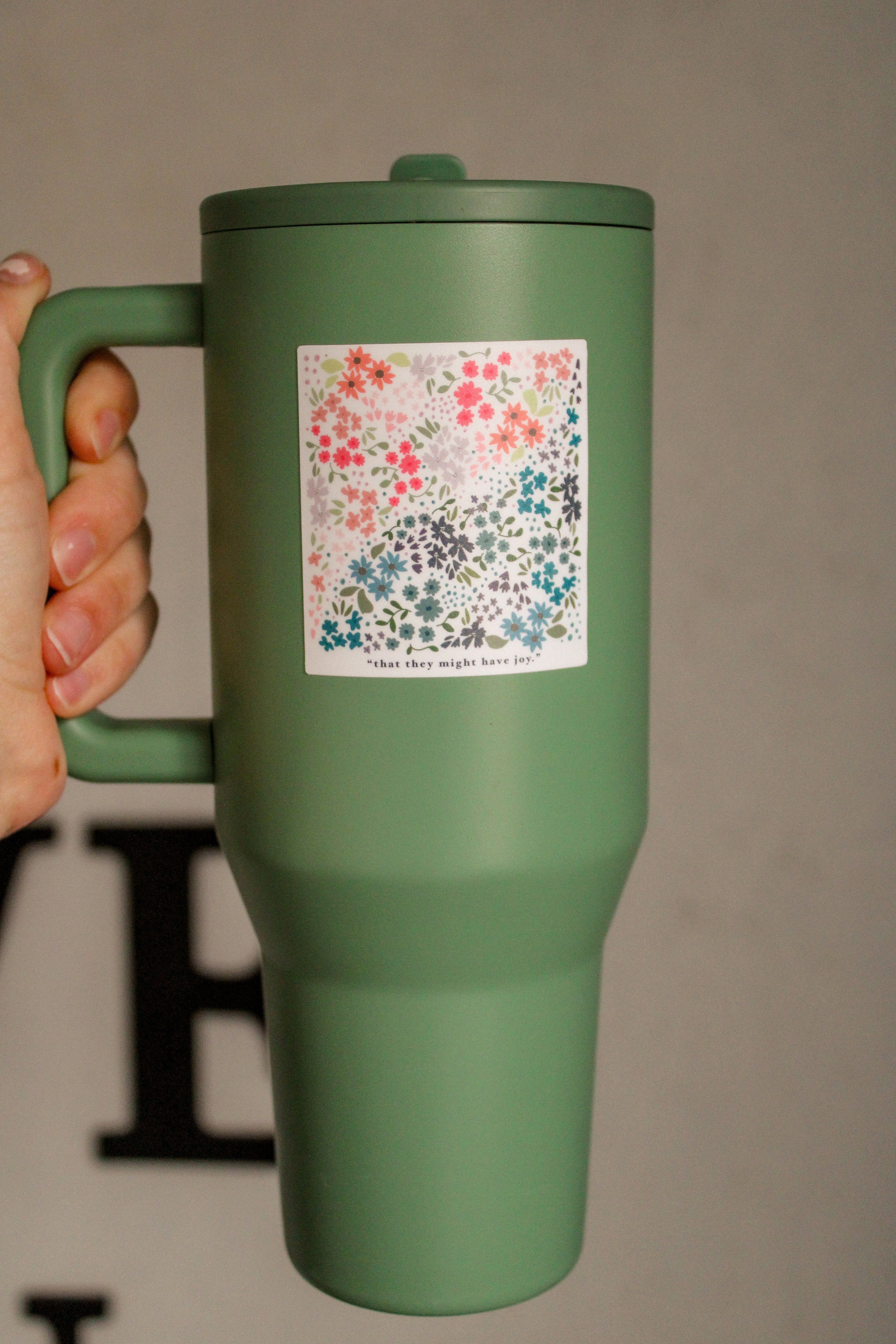 That They Might Have Joy - 2 Nephi 2