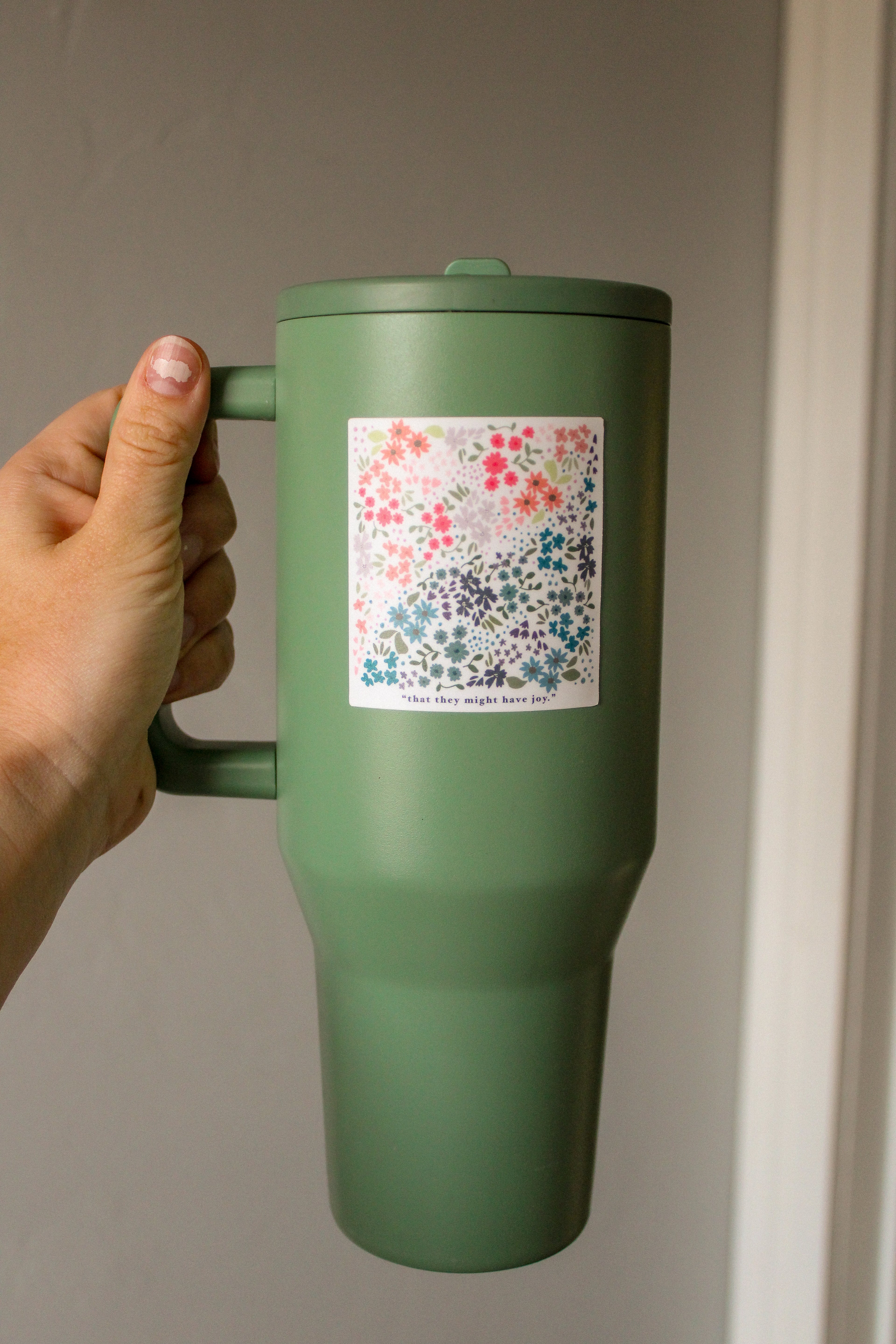 That They Might Have Joy - 2 Nephi 2