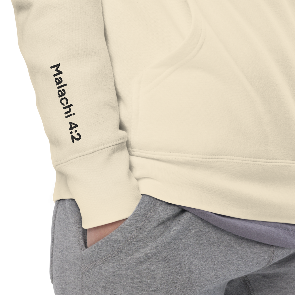 With Healing in His Wings Unisex Hoodie