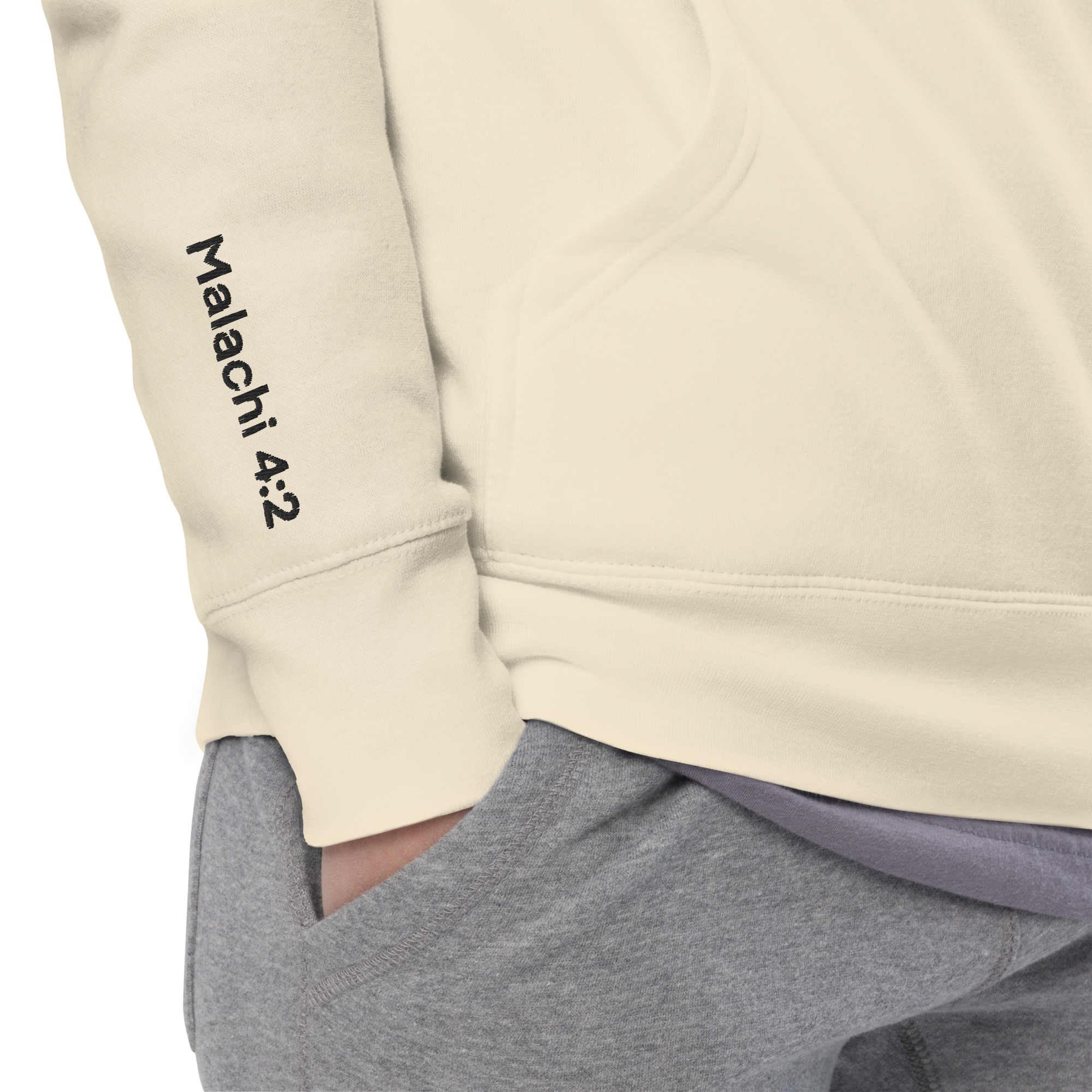 With Healing in His Wings Unisex Hoodie