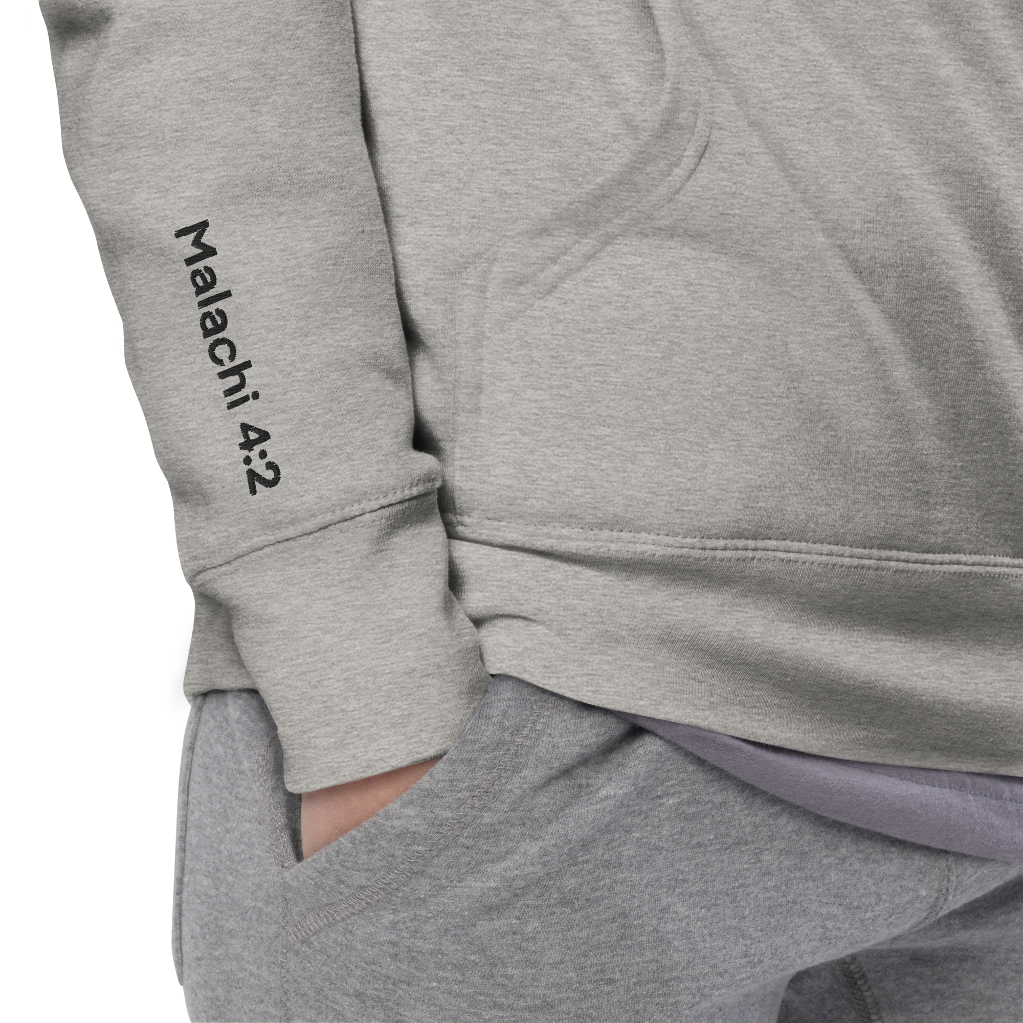 With Healing in His Wings Unisex Hoodie