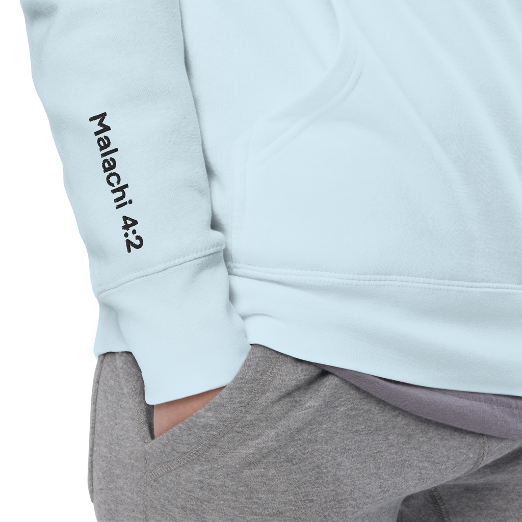 With Healing in His Wings Unisex Hoodie