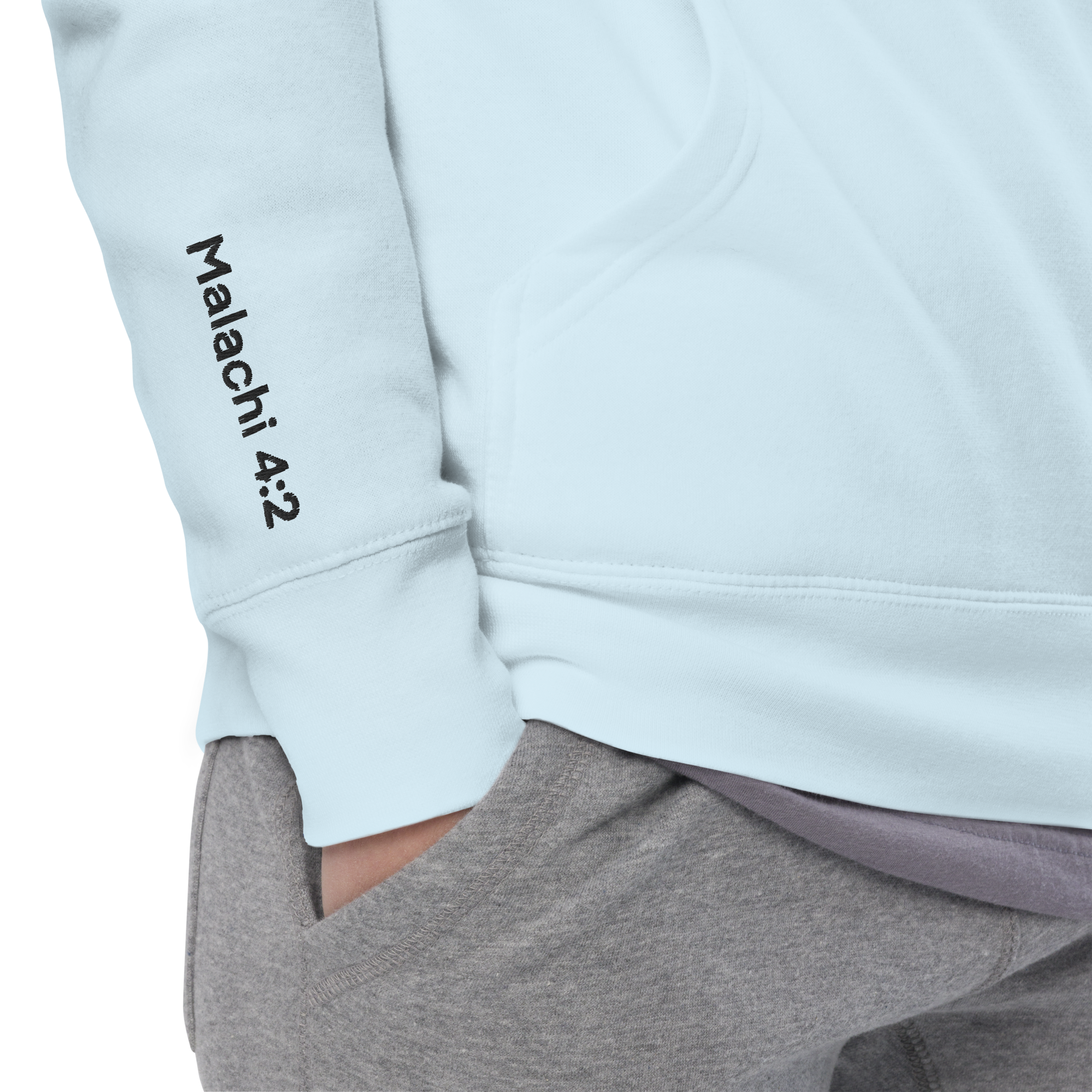 With Healing in His Wings Unisex Hoodie