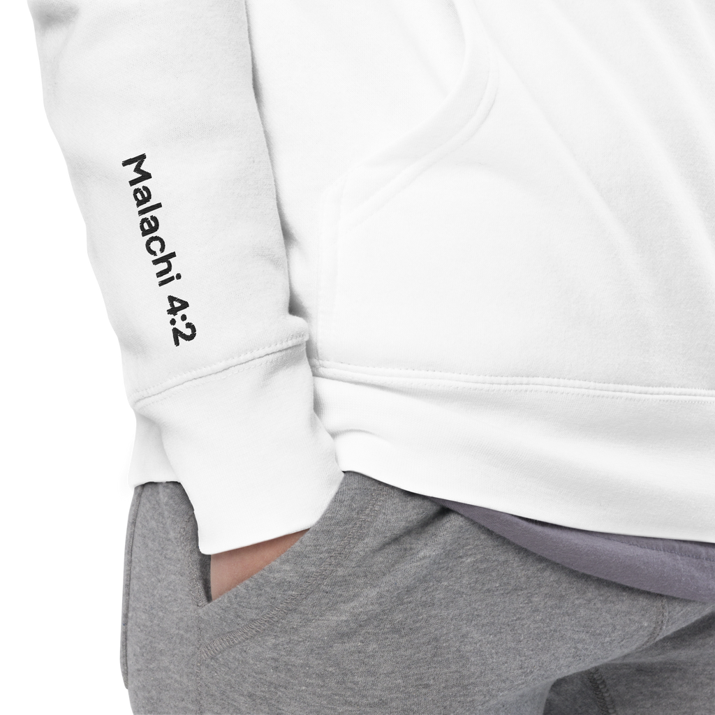 With Healing in His Wings Unisex Hoodie